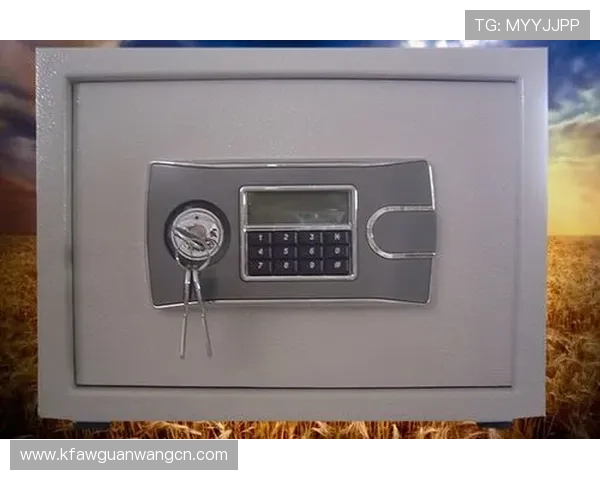 凯发K8官网app注册流程及账号安全保护全攻略