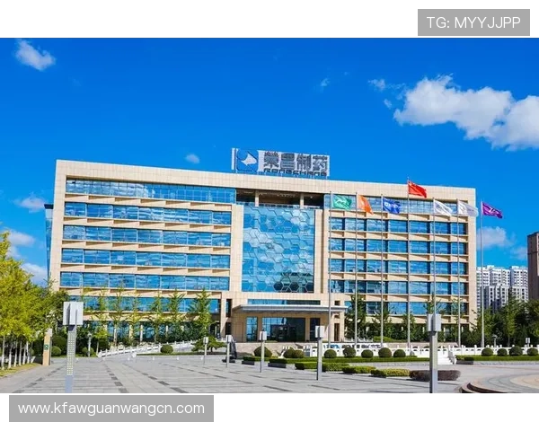 凯发集团官网安全保障措施解析,保障玩家资金与个人信息安全 凯发集团官网安全保障措施解析,保障玩家资金与个人信息安全